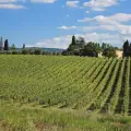 IN THE CRETE SENESI, LAND OF THE DOC DENOMINATION