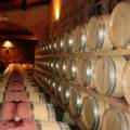 vini toscani DOC e IGT: Scopri le differenze